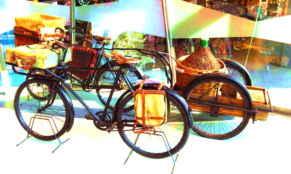bici da trasporto